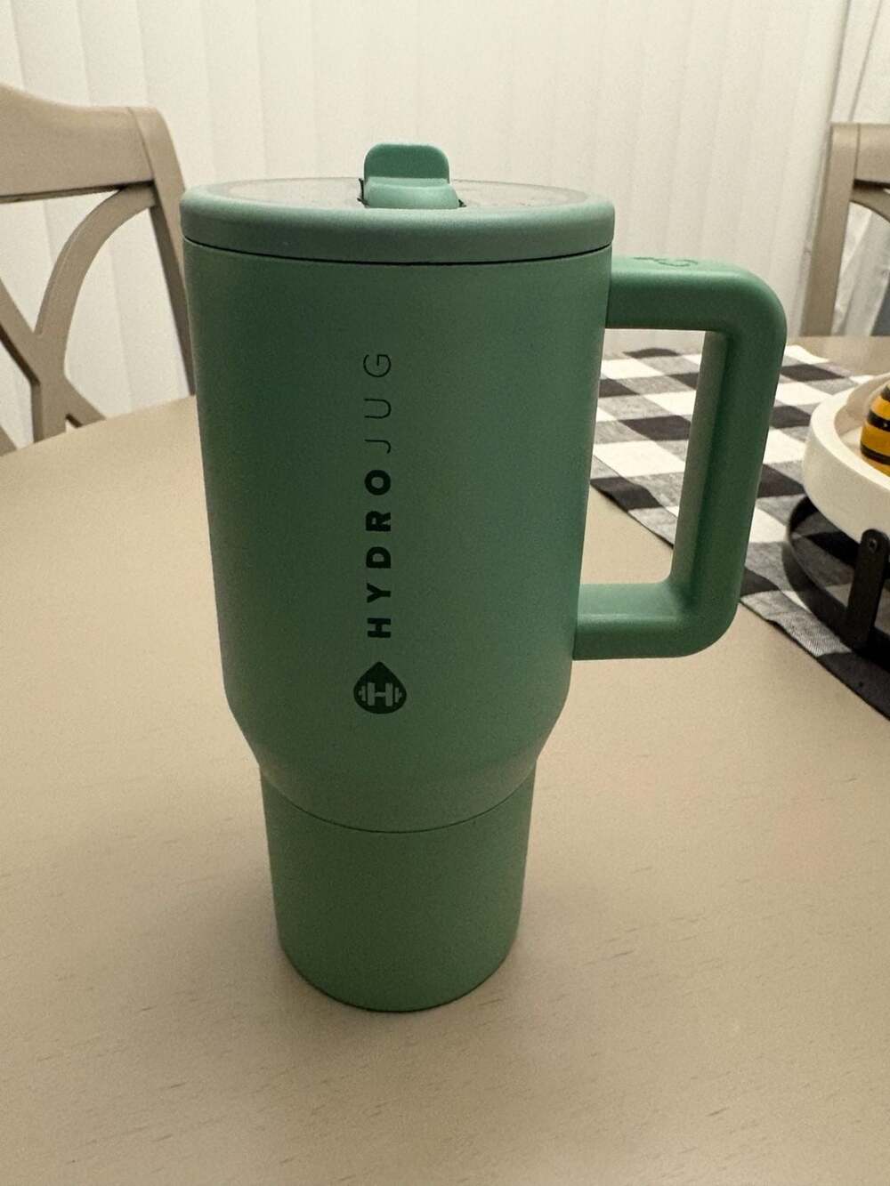 HydroJug Traveler Water Bottle with Handle and Flip Straw Sage